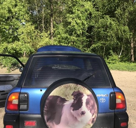 Toyota RAV4 cena 15500 przebieg: 248066, rok produkcji 1994 z Pajęczno małe 191
